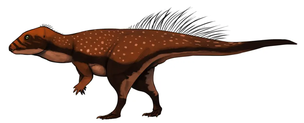 Вимерлий світ | Stenopelix Вимерлий світ | Stenopelix