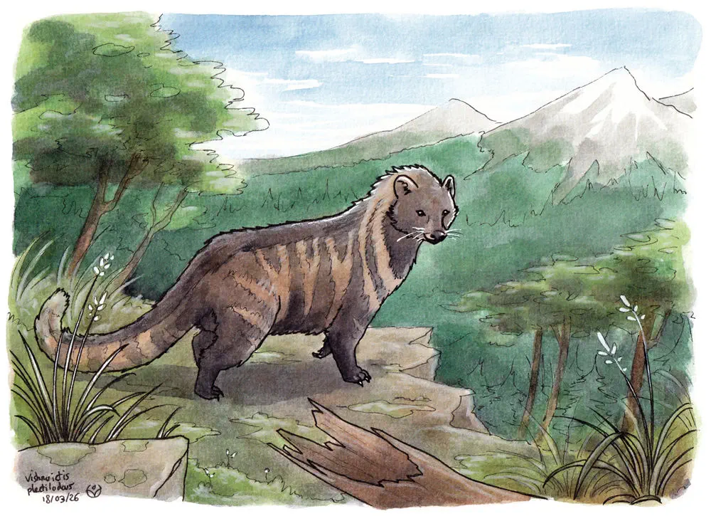 Вимерлий світ | Vishnuictis Вимерлий світ | Vishnuictis