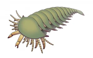 Megachelicerax|Вимерлий світ