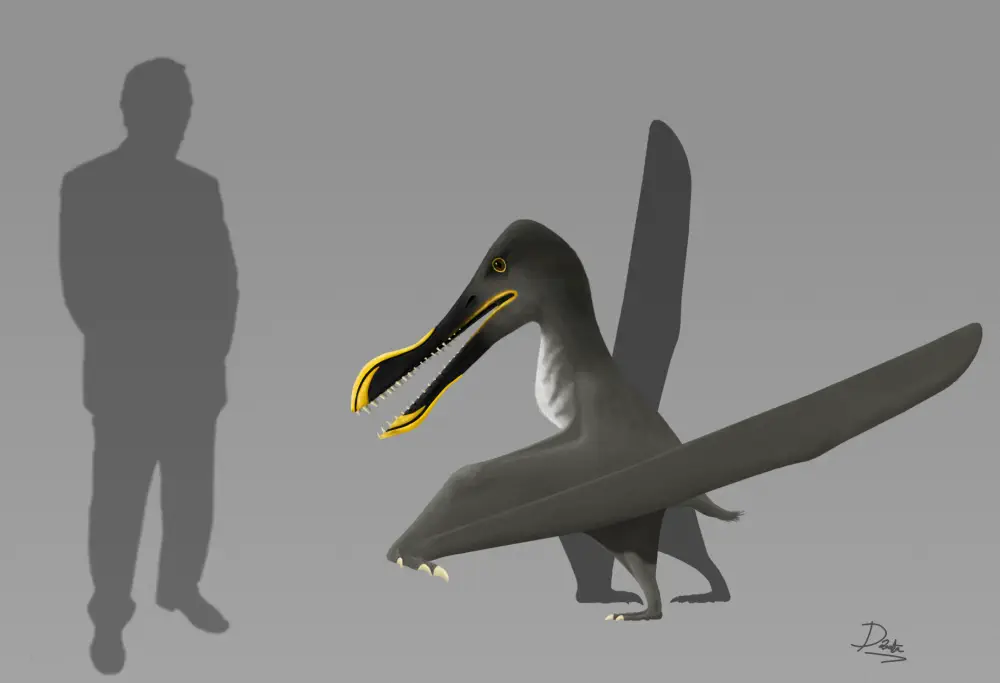 Вимерлий світ | Tylodorhynchus Вимерлий світ | Tylodorhynchus