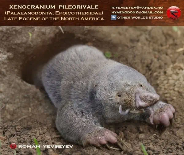 Вимерлий світ | Xenocranium