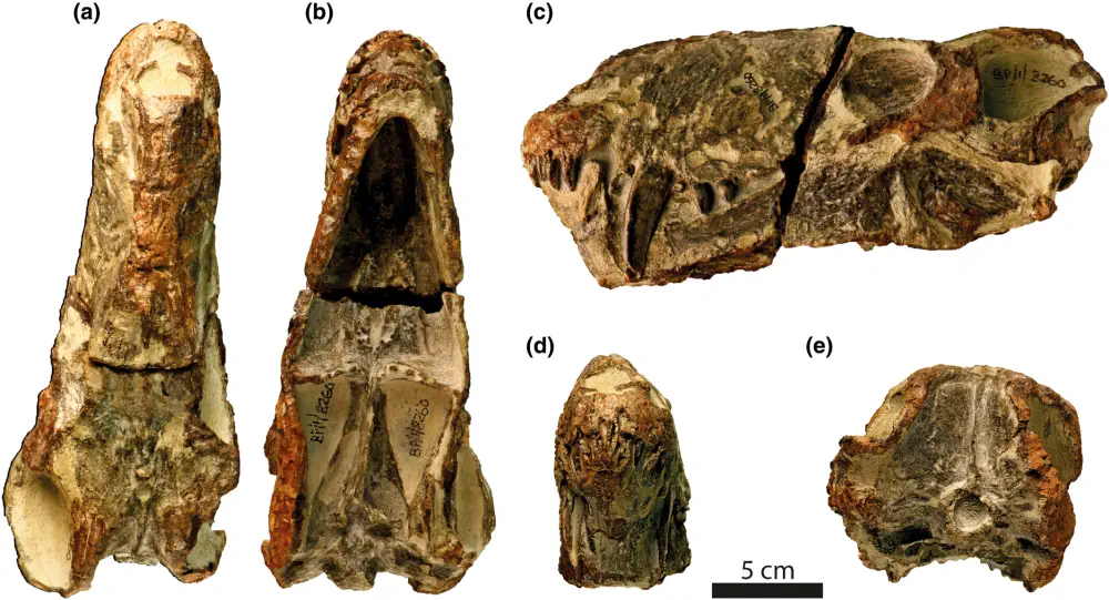 Вимерлий світ | Jirahgorgon