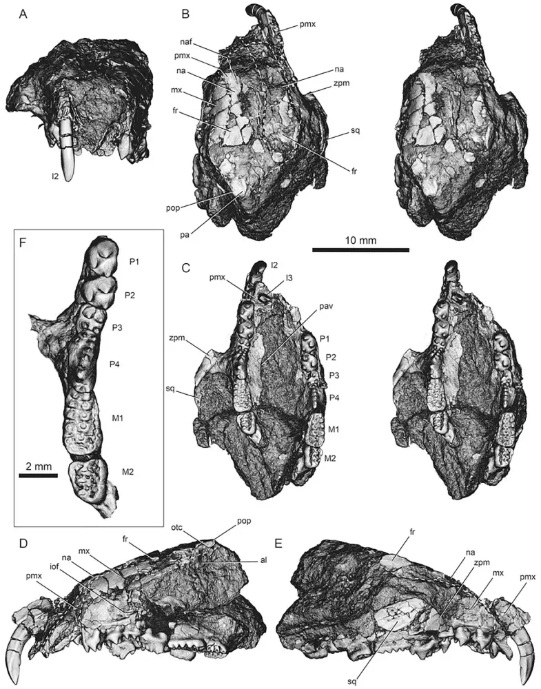 Вимерлий світ | Cimolodon