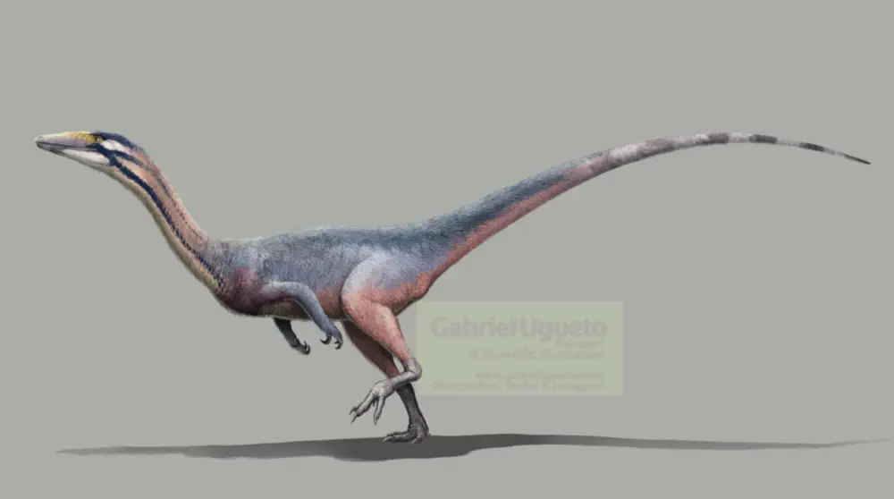 Вимерлий світ | Lucianovenator