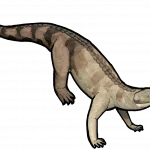Dibothrosuchus_elaphros