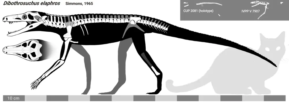 Вимерлий світ | Dibothrosuchus Вимерлий світ | Dibothrosuchus
