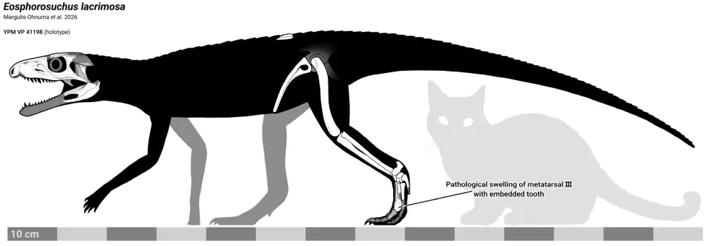 Вимерлий світ | Eosphorosuchus