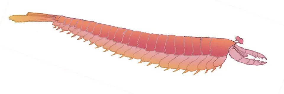 Вимерлий світ | Fortiforceps