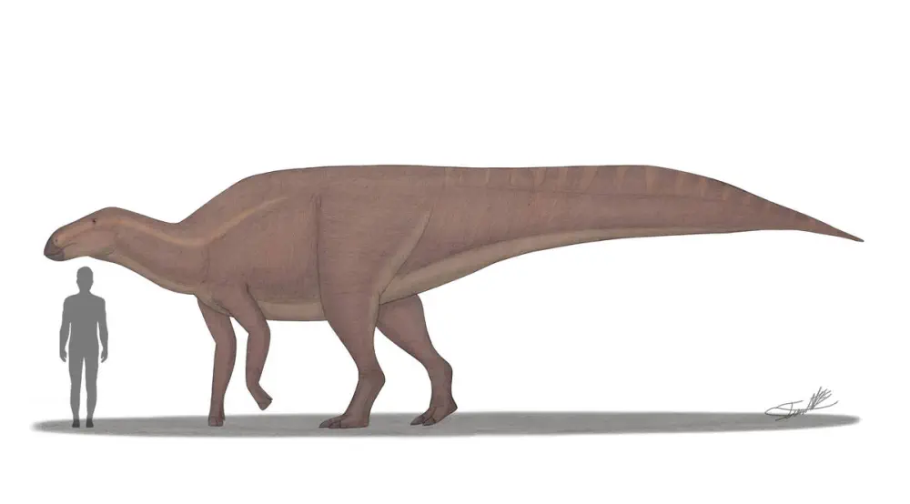 Вимерлий світ | Gongshuilong