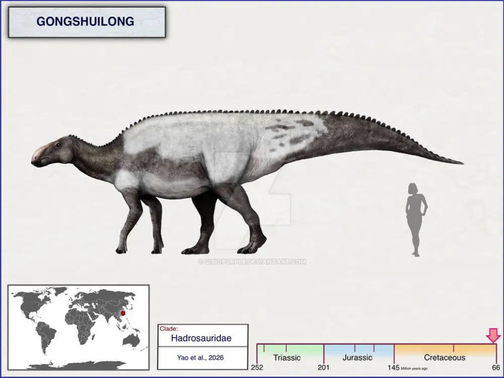 Вимерлий світ | Gongshuilong