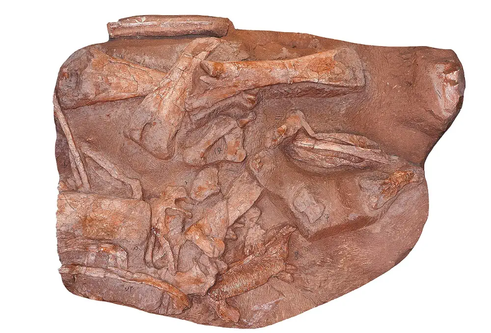 Вимерлий світ | Gongshuilong