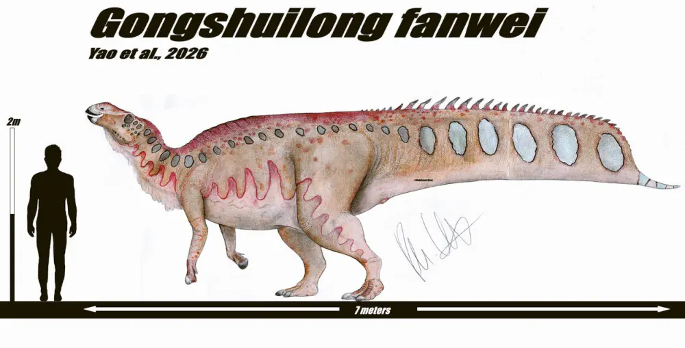 Вимерлий світ | Gongshuilong