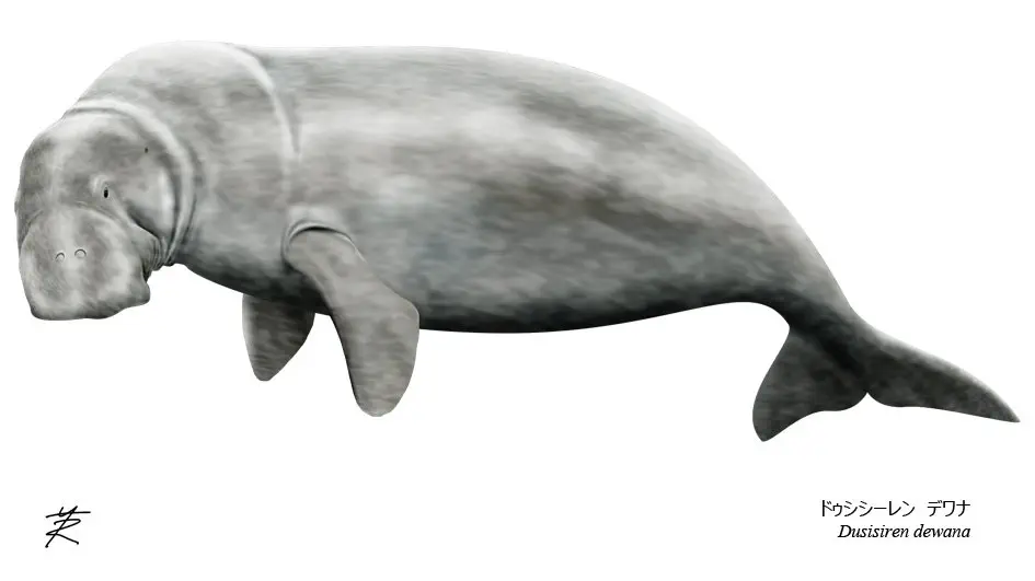 Вимерлий світ | Dusisiren Вимерлий світ | Dusisiren