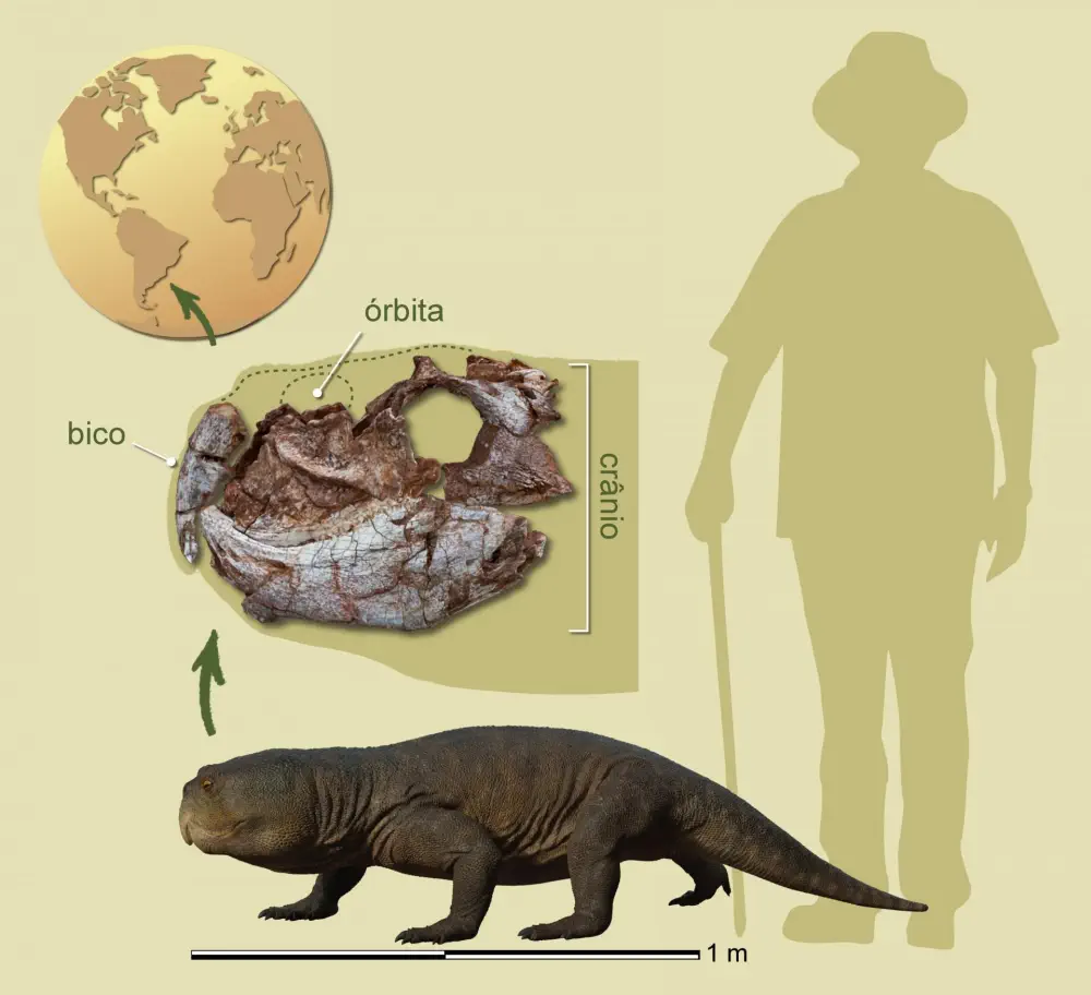 Вимерлий світ | Isodapedon