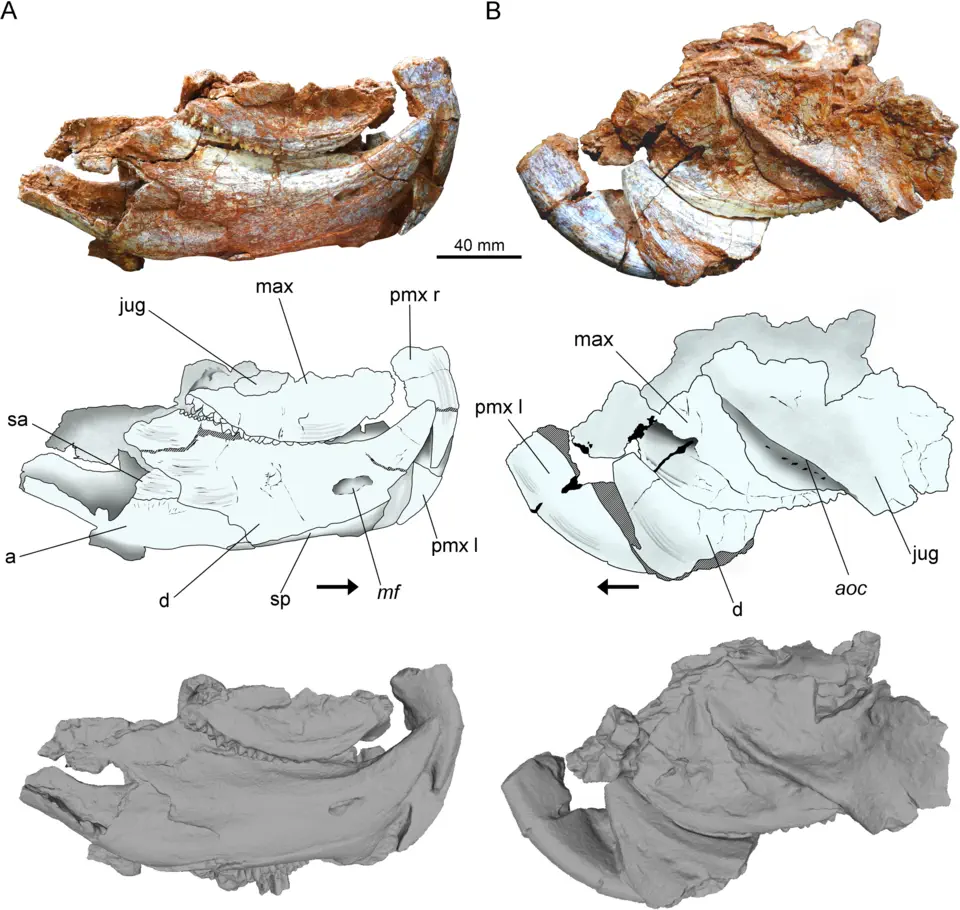 Вимерлий світ | Isodapedon
