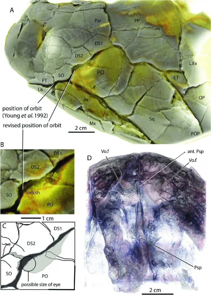 Вимерлий світ | Koharalepis