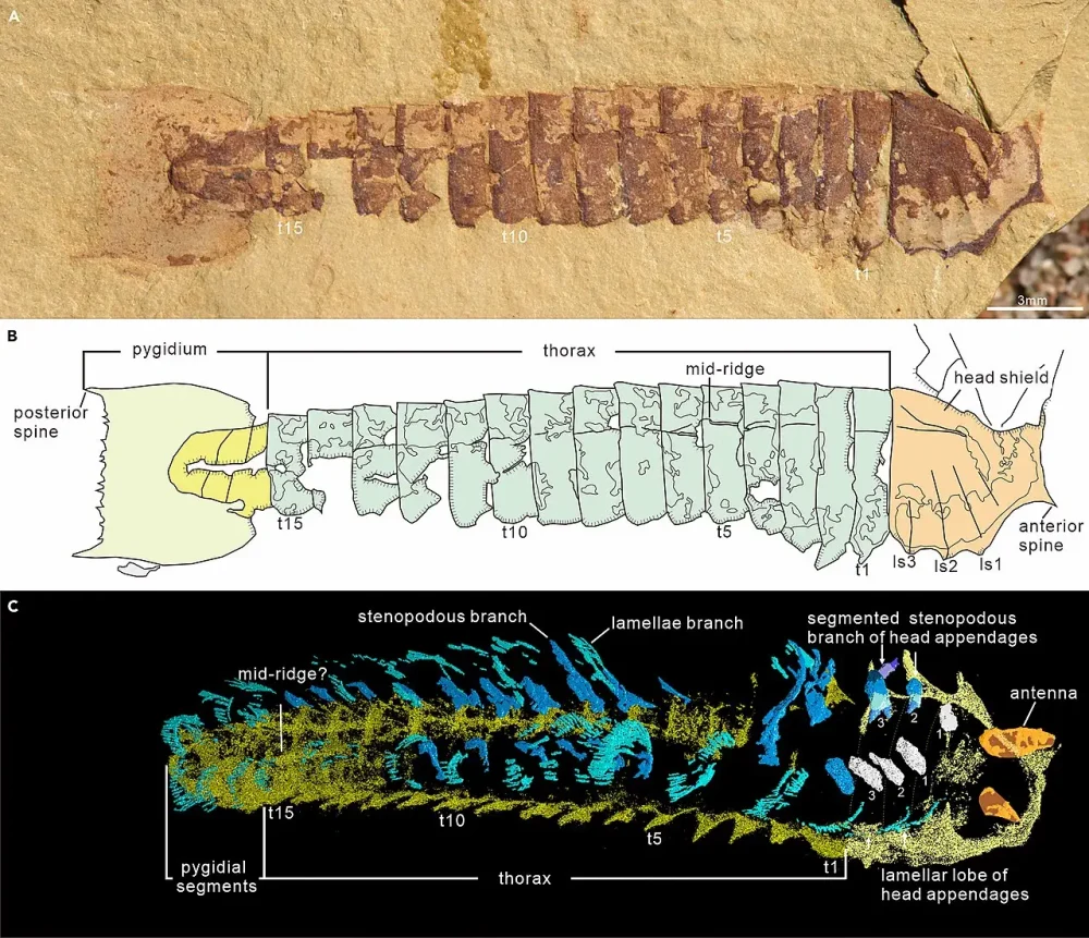 Вимерлий світ | Urokodia