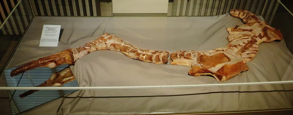 Вимерлий світ | Manemergus