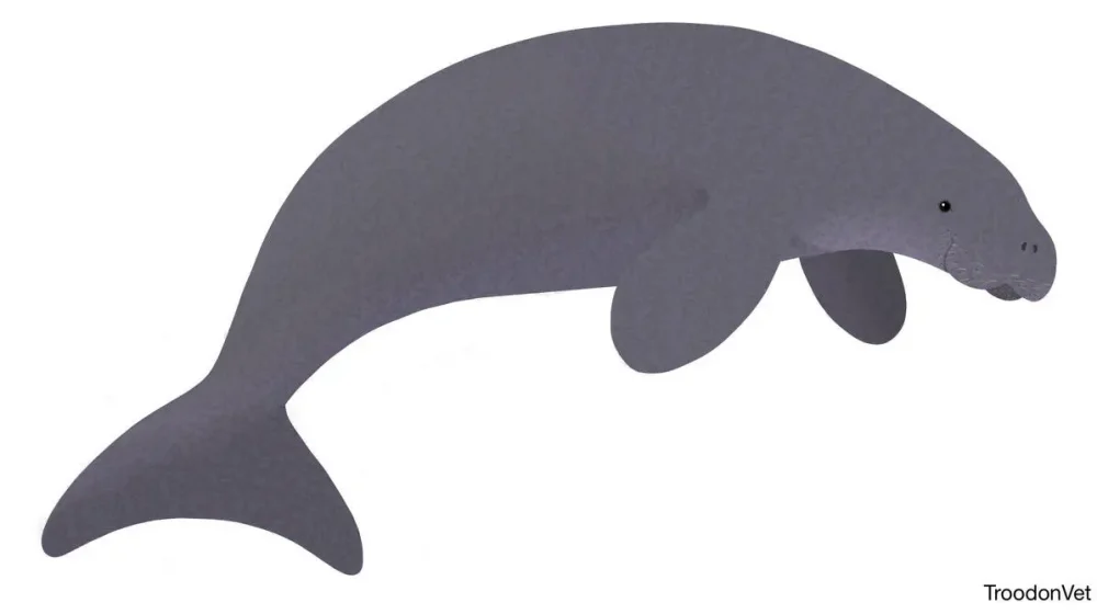 Вимерлий світ | Dusisiren Вимерлий світ | Dusisiren