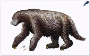 Nohochichak|Вимерлий світ