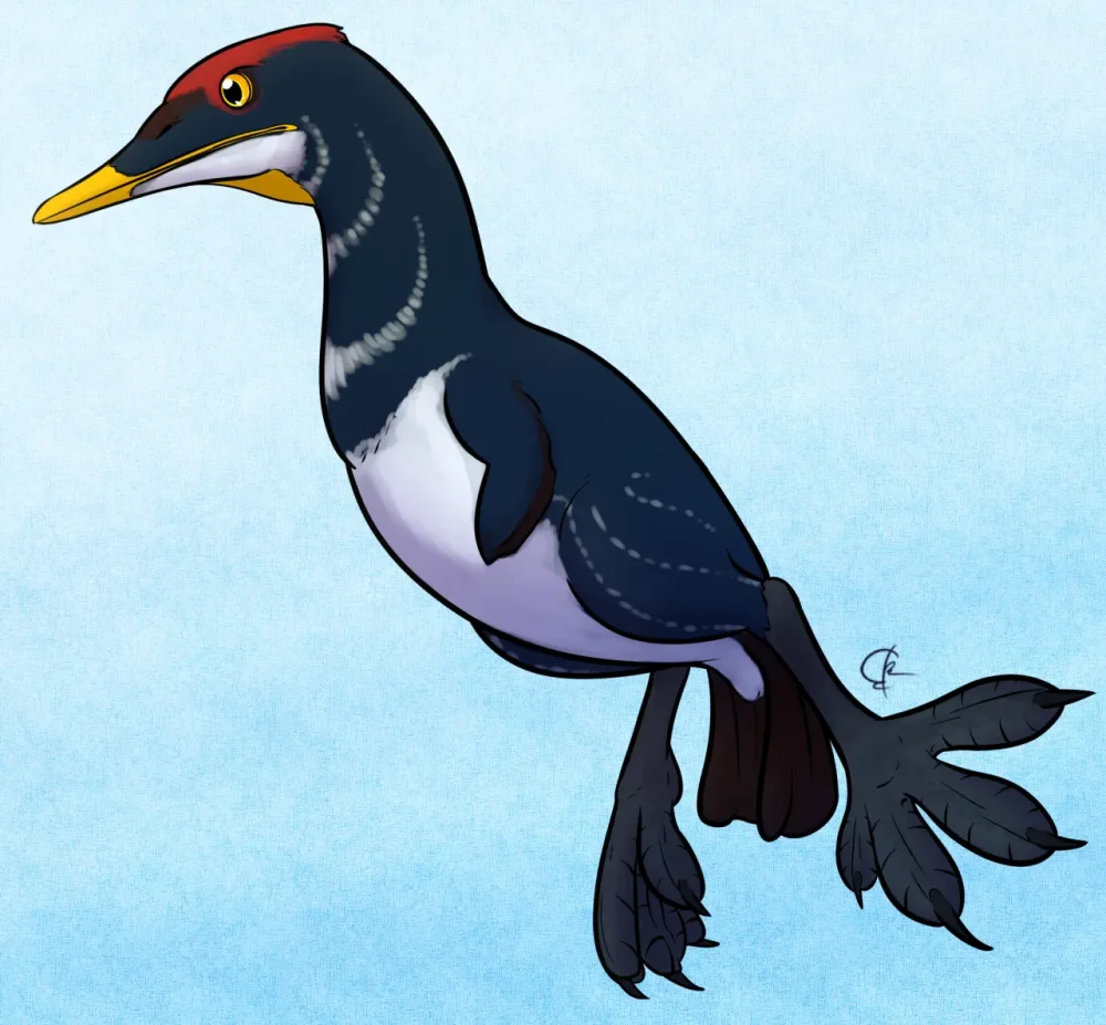 Вимерлий світ | Enaliornis Вимерлий світ | Enaliornis