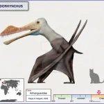 tylodorhynchus__by_cisiopurple_dlv4zpu-pre