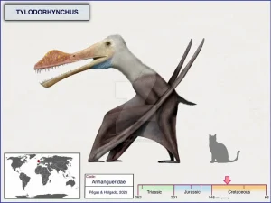 Tylodorhynchus|Вимерлий світ