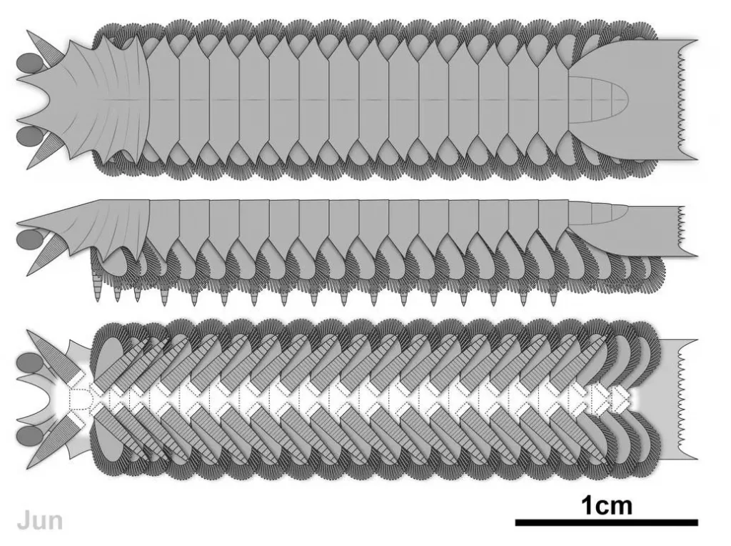 Вимерлий світ | Urokodia