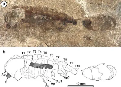 Вимерлий світ | Utahcaris
