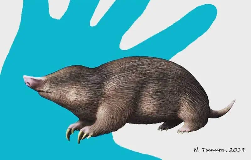 Вимерлий світ | Xenocranium