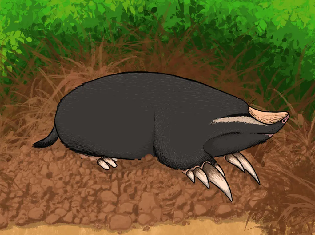 Вимерлий світ | Xenocranium