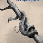 alamitophis_argentinus_by_gabuded_dm3x614-414w-2x