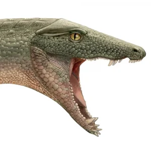 Вимерлий світ | Colhuehuapisuchus