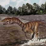 LABRUJASUCHUS_EXPECTATUS-novataxa_2026-Turner_Kernan_Laing__Nesbitt