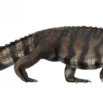 Leidyosuchus_paleoart