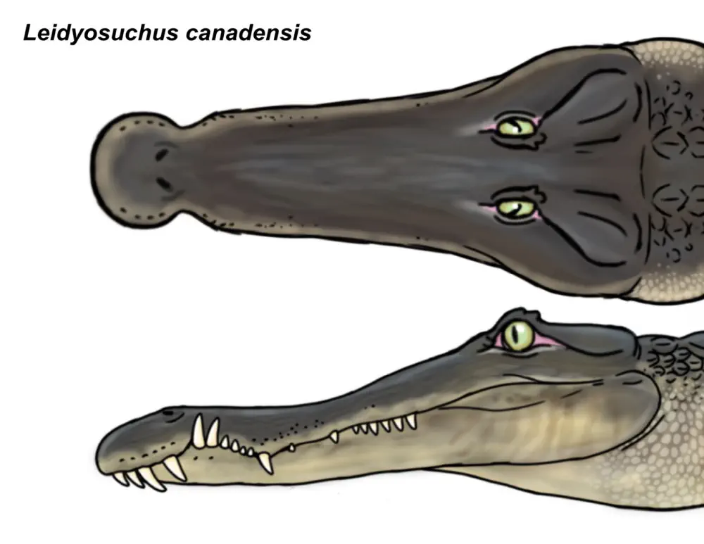 Вимерлий світ | Leidyosuchus