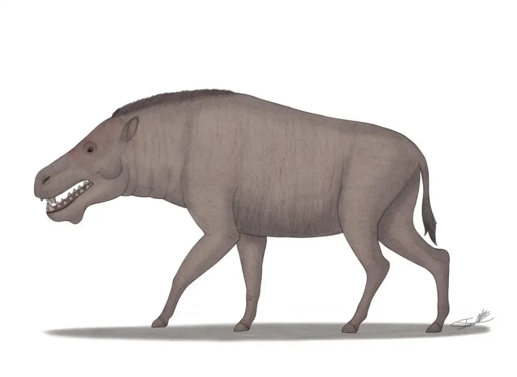 Вимерлий світ | Paraentelodon