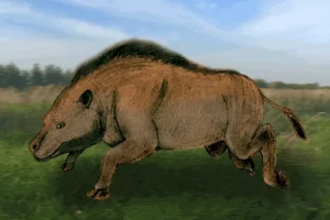 Вимерлий світ | Paraentelodon