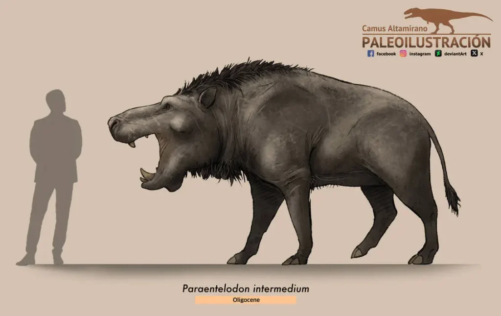 Вимерлий світ | Paraentelodon