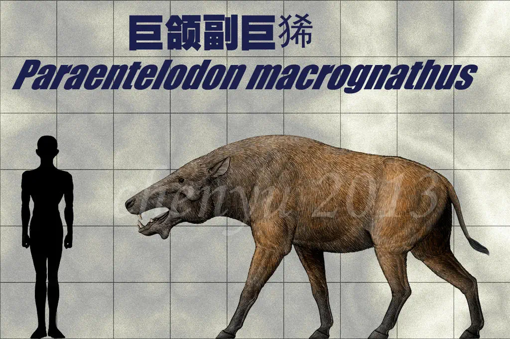 Вимерлий світ | Paraentelodon