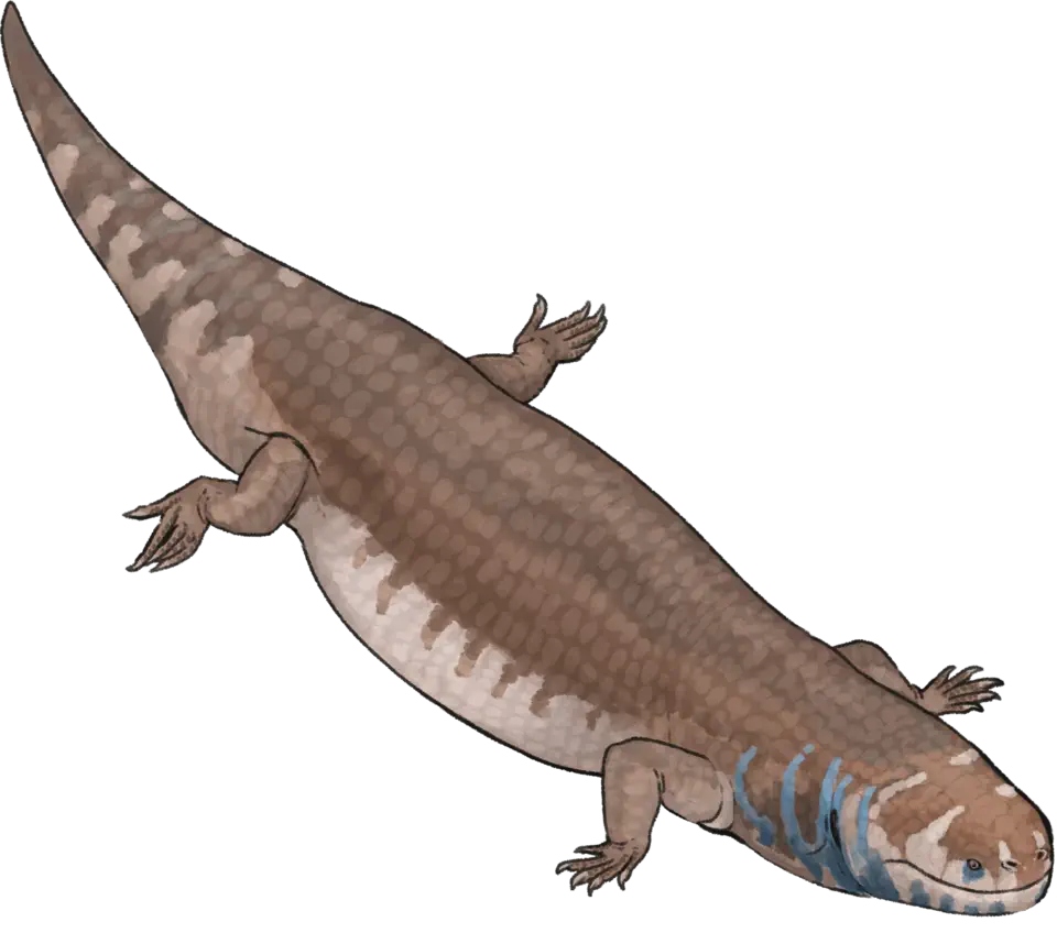 Вимерлий світ | Tamaulipasaurus