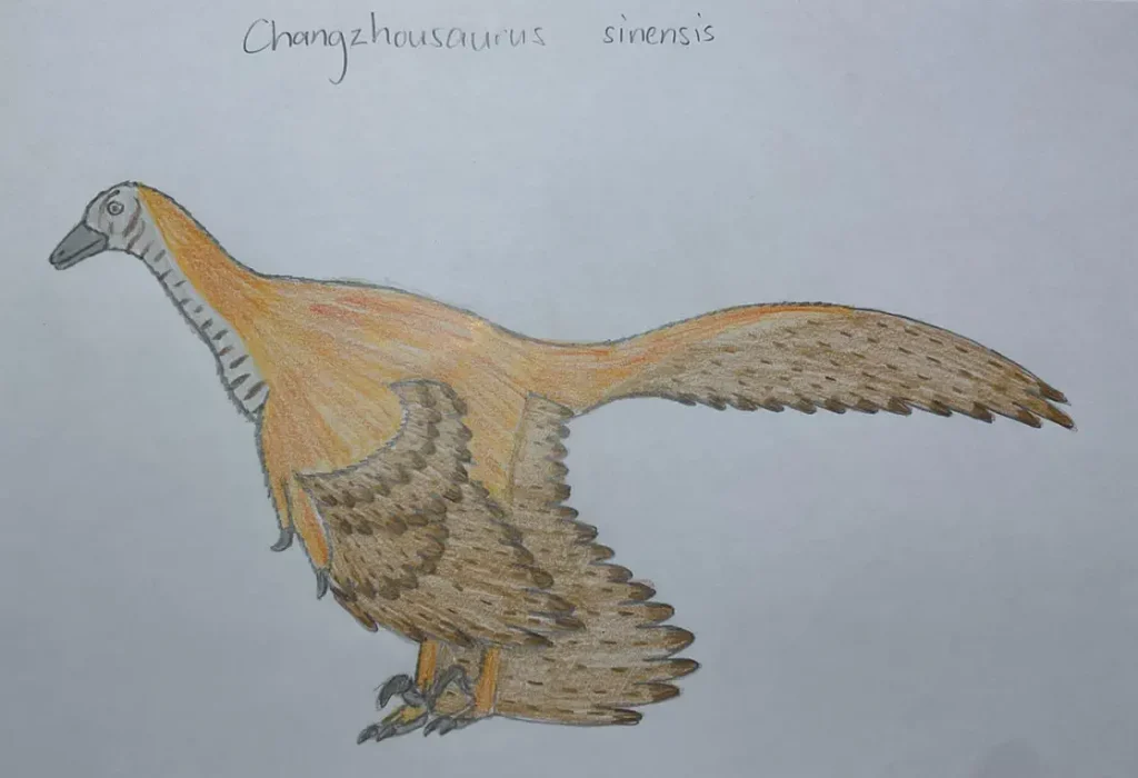Вимерлий світ | Changzhousaurus Вимерлий світ | Changzhousaurus