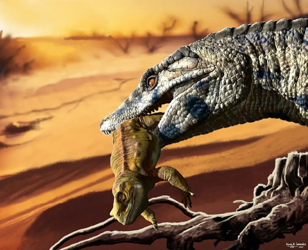 Вимерлий світ | Antusuchus