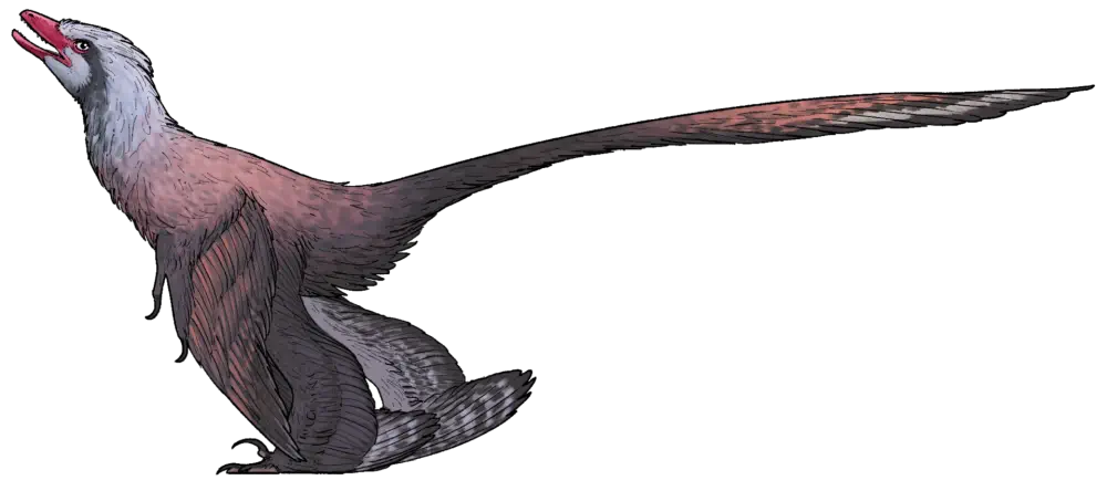Вимерлий світ | Changzhousaurus Вимерлий світ | Changzhousaurus