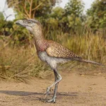 Eschatornis_aterradora
