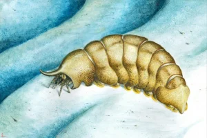 Вимерлий світ | Magnicornaspis