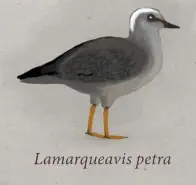 Вимерлий світ | Lamarqueavis