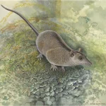 Phantasmodon_travouilloni_(life_restoration_by_Peter_Schouten)