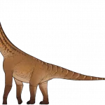 Ceratocaudia_antiqua