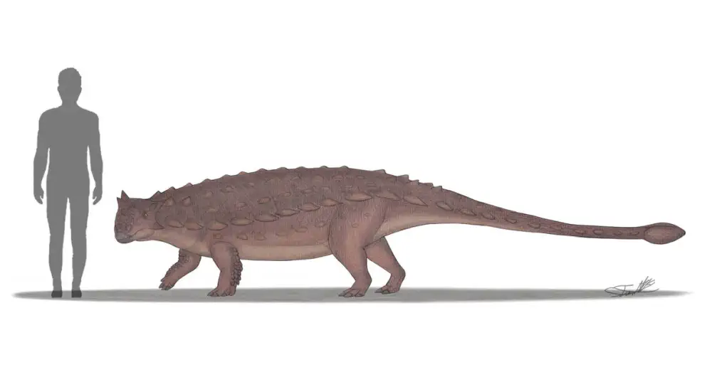 Вимерлий світ | Eopinacosaurus Вимерлий світ | Eopinacosaurus